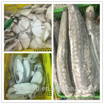 factory seafood frozen oilfish steak